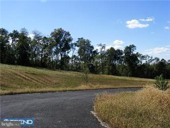 Lot #1 Scull Hill Loop Road Bernville, PA 19506 - Photo 2 of 3 Gallery Image 2