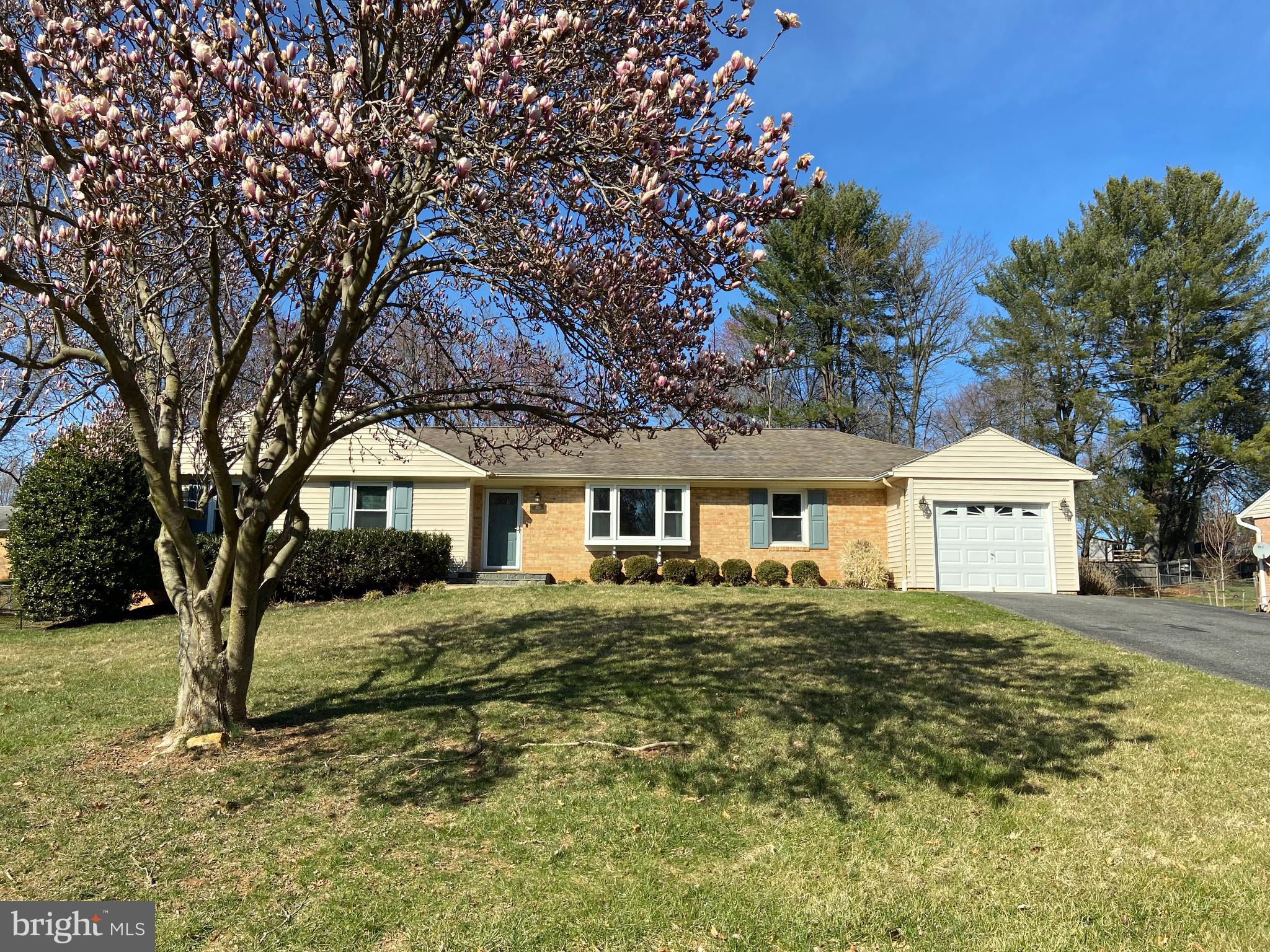 4117 Sir Walter Road Olney, MD 20832 - Photo 1 of 83 Welcome to 4117 Sir Walter Road!