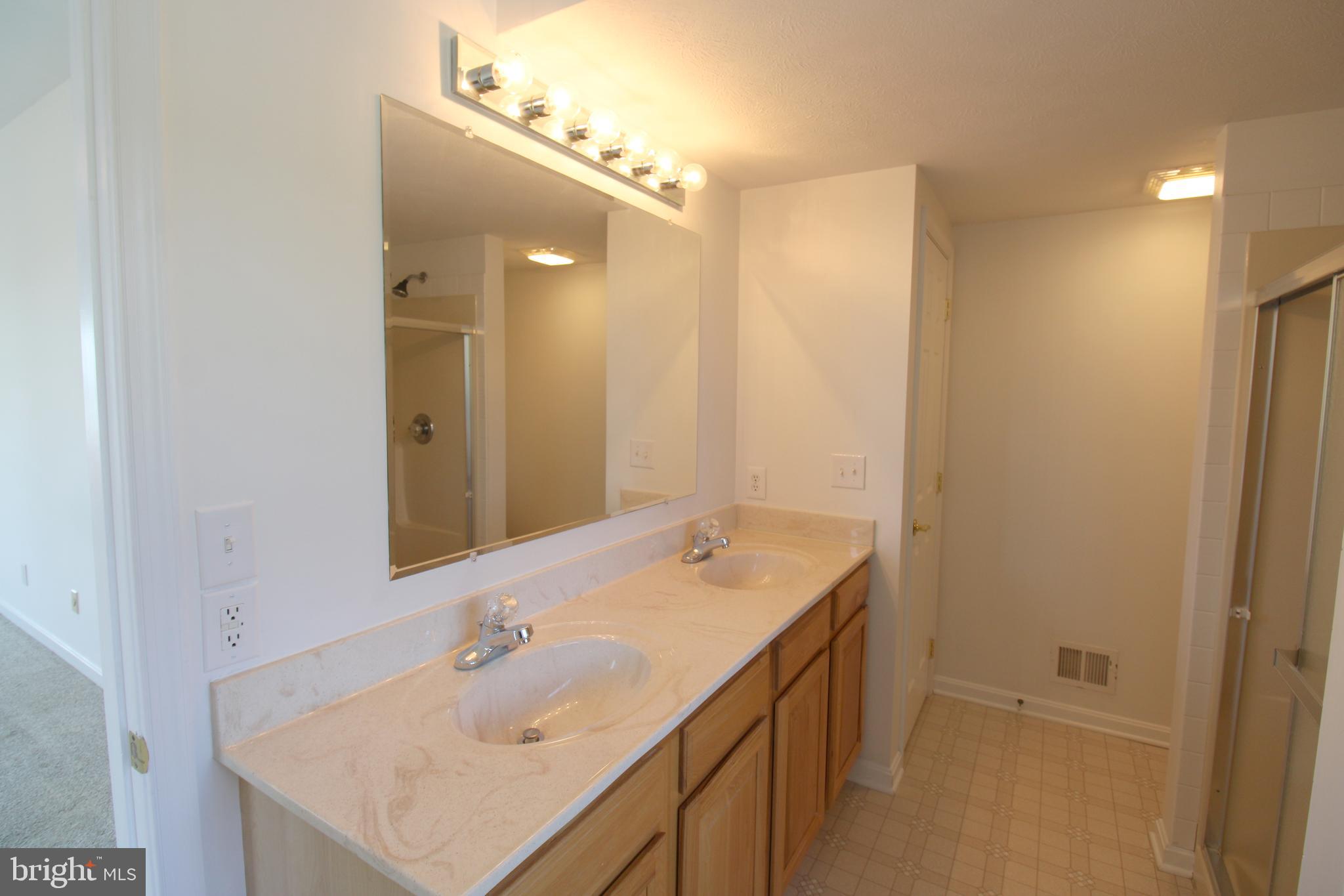 40461 Old Breton Beach Road Leonardtown, MD 20650 - Photo 33 of 61 a bathroom with a sink a mirror and a shower