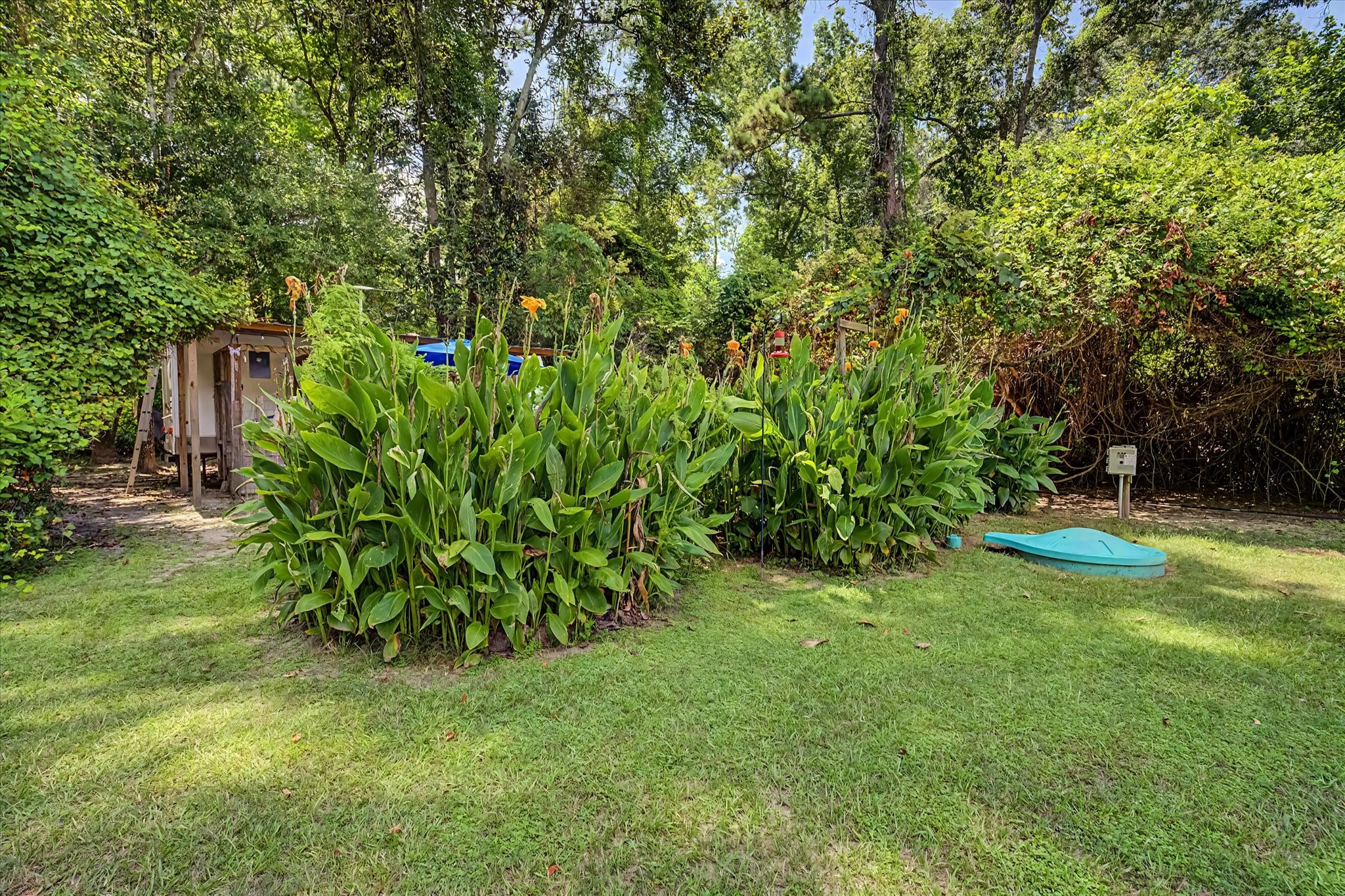 31601 Huffman Cleveland Road Huffman, TX 77336 - Photo 27 of 48