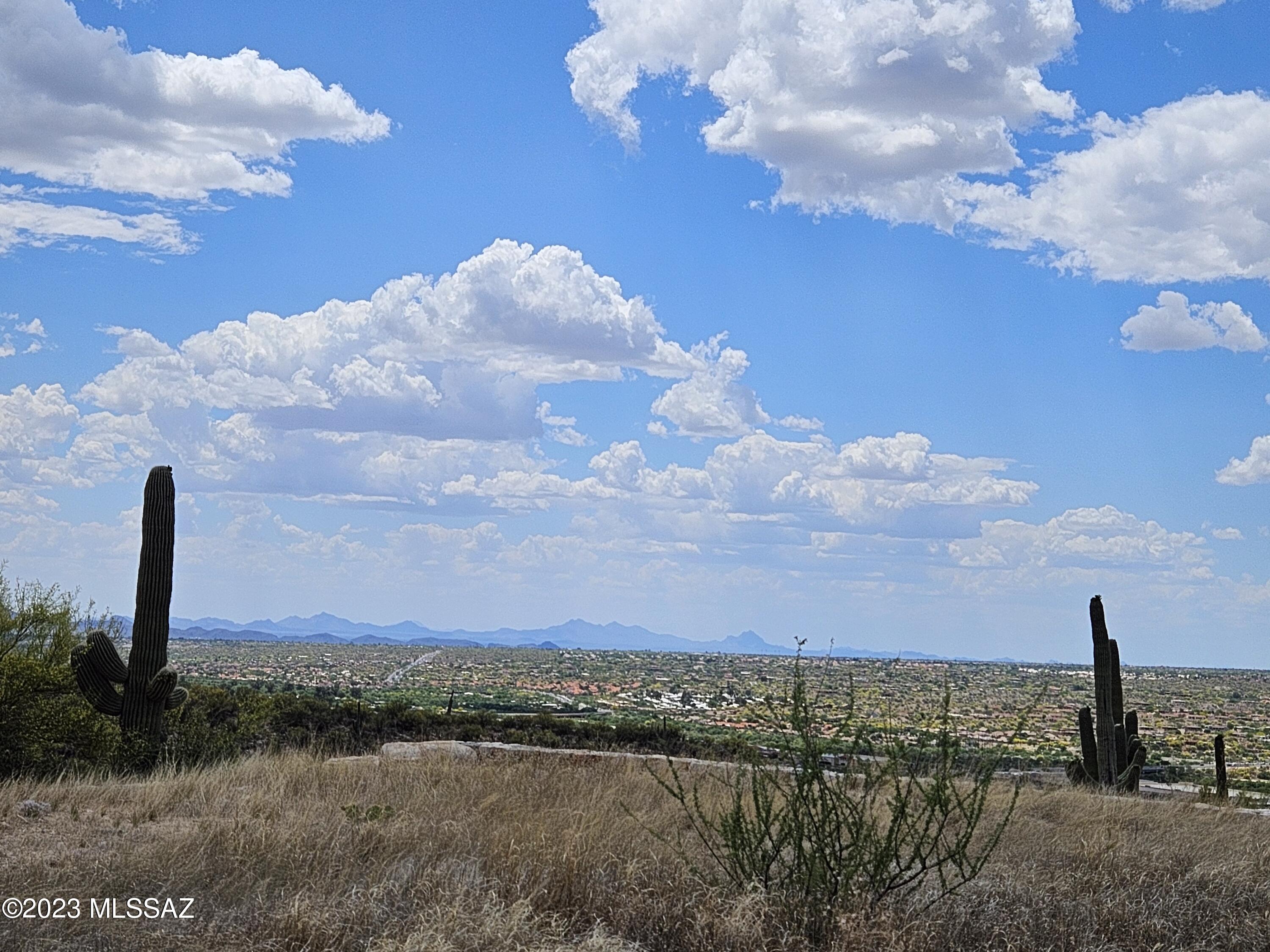 2320 Della Roccia Court, Unit 21 Oro Valley, AZ 85737 - Photo 6 of 10