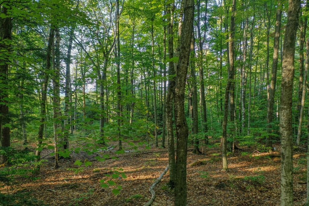 Bluff Pass Egg Harbor, WI 54209 - Photo 8 of 11