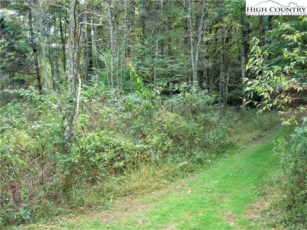 7 East Rivers Edge Boone, NC 28607 - Photo 7 of 19 Gallery Image 7