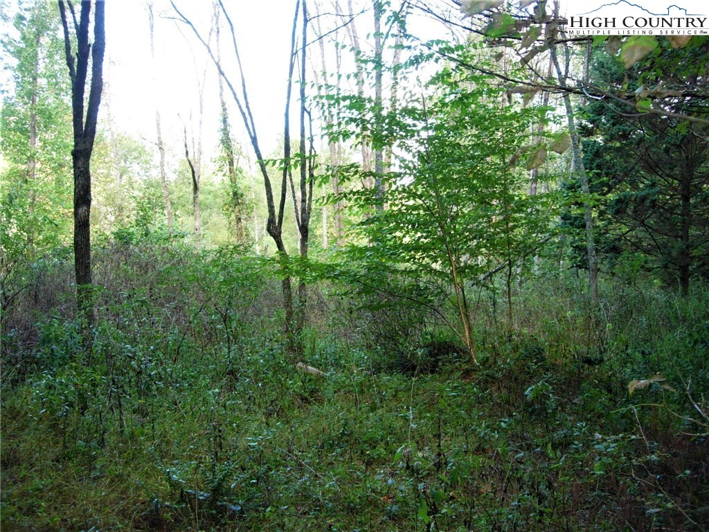 7 East Rivers Edge Boone, NC 28607 - Photo 10 of 19 Gallery Image 10