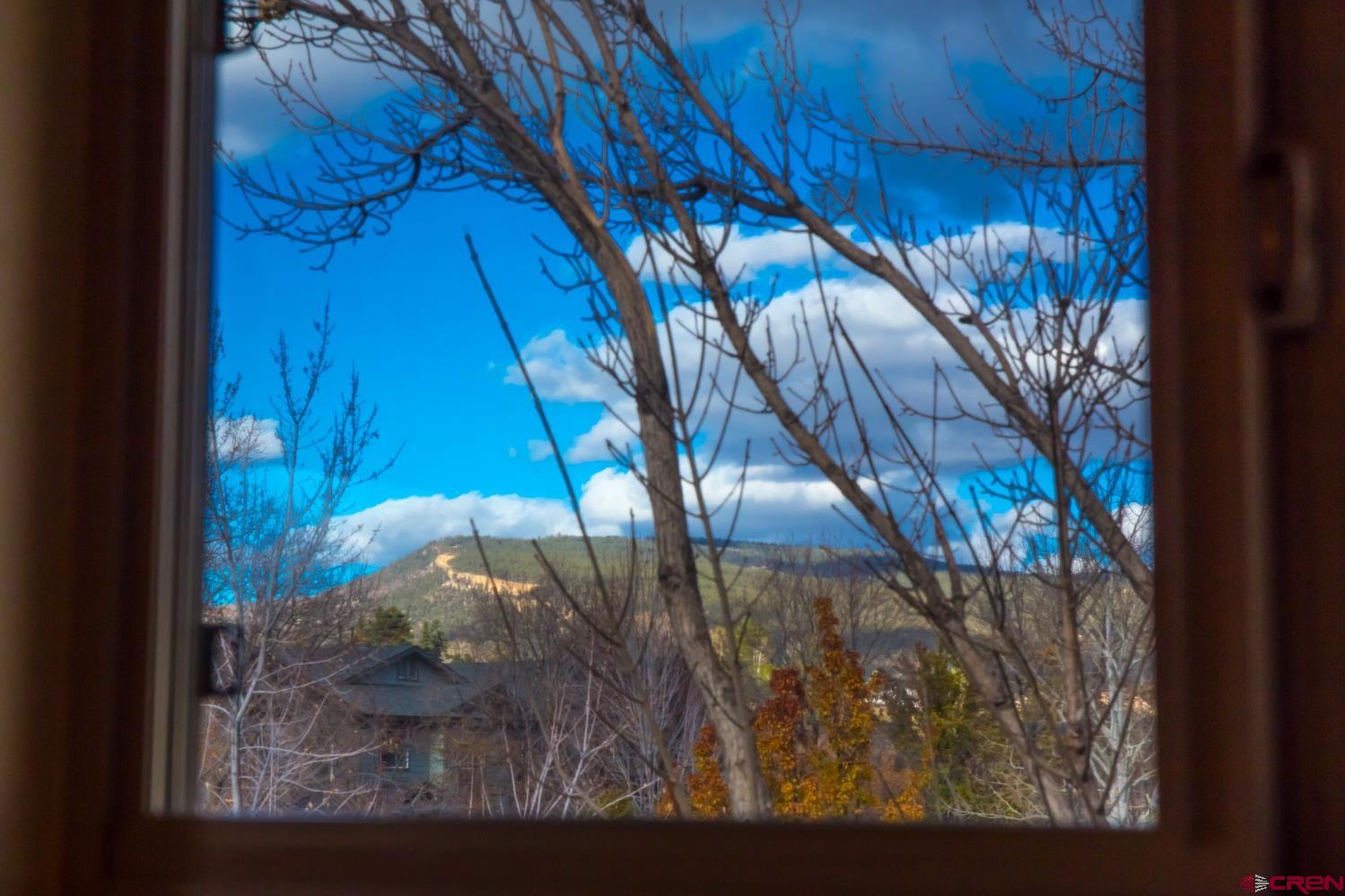 334 Jenkins Ranch Road Durango, CO 81301 - Photo 25 of 35 a view of a tree