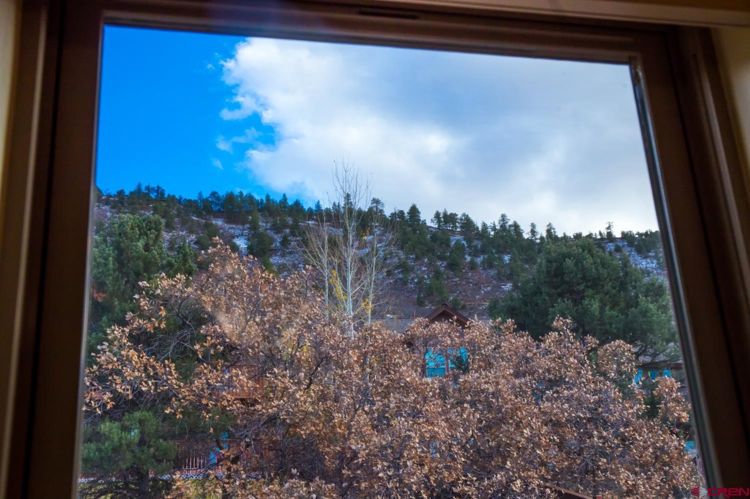 334 Jenkins Ranch Road Durango, CO 81301 - Photo 30 of 35 a view of a yard from a window