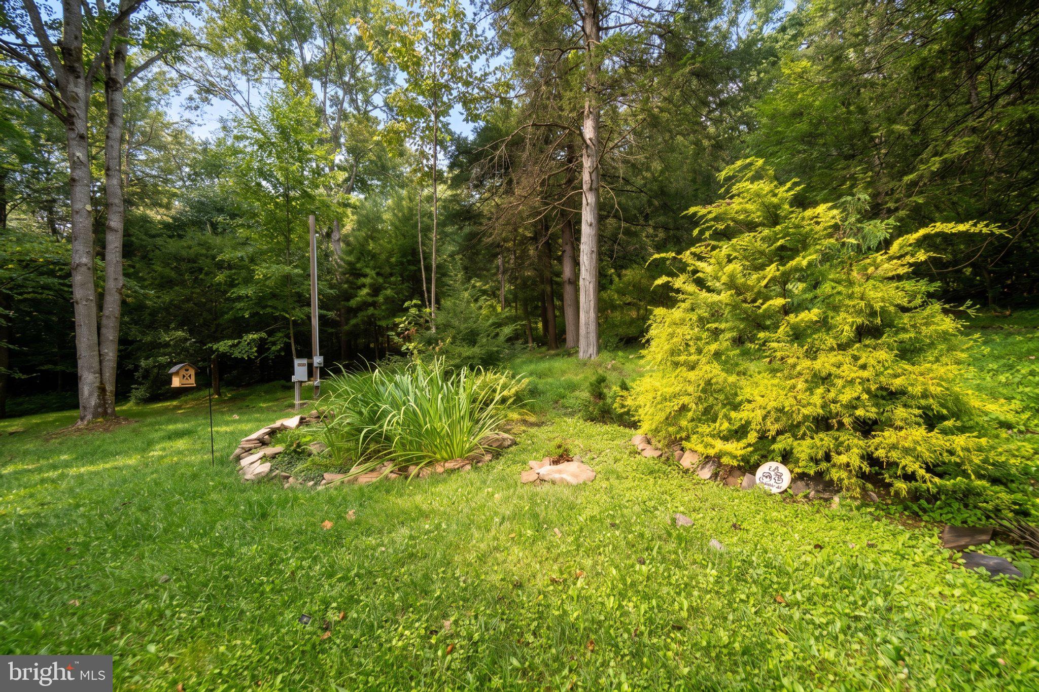 322 Hemlock Road Grantsville, MD 21536 - Photo 77 of 82 Gallery Image 77