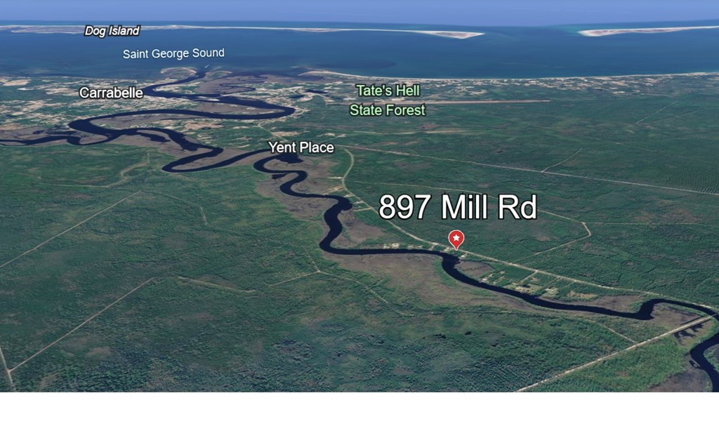 897 Mill Road Carrabelle, FL 32322 - Photo 49 of 50