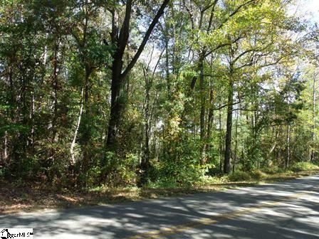 0 Bryant Road Pelzer, SC 29669 - Photo 1 of 4