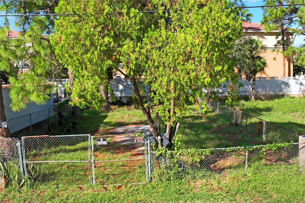 5635 Van Doren Avenue New Port Richey, FL 34652 - Photo 3 of 19