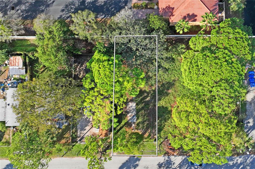 5635 Van Doren Avenue New Port Richey, FL 34652 - Photo 4 of 19