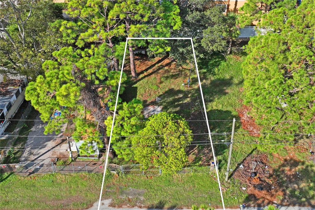 5635 Van Doren Avenue New Port Richey, FL 34652 - Photo 8 of 19