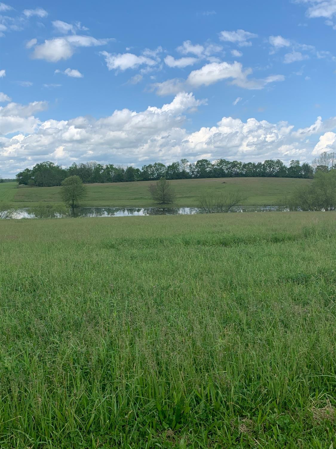 2602 Bethlehem Road Paris, KY 40361 - Photo 15 of 37 Photo 15