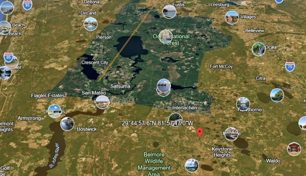 Bellamy Road Melrose, FL 32666 - Photo 2 of 15