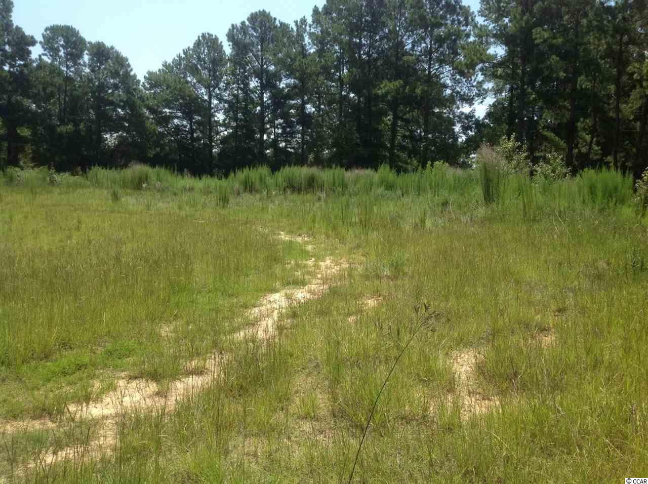 4100 Highway 366 Loris, SC 29569 - Photo 14 of 36 Gallery Image 14