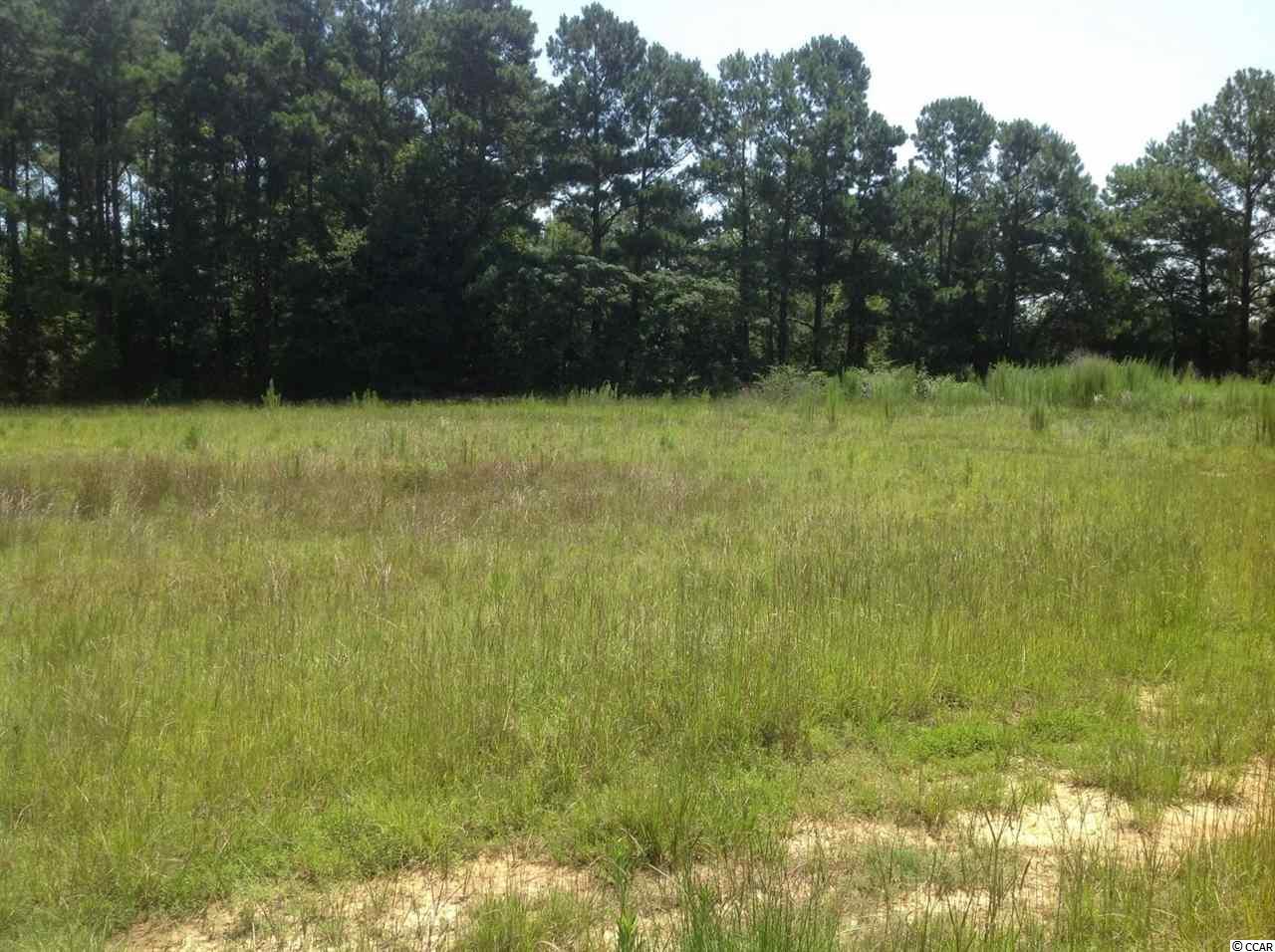 4100 Highway 366 Loris, SC 29569 - Photo 16 of 36 Gallery Image 16