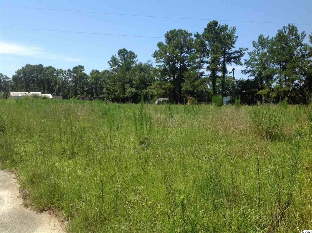 4100 Highway 366 Loris, SC 29569 - Photo 10 of 36 Gallery Image 10