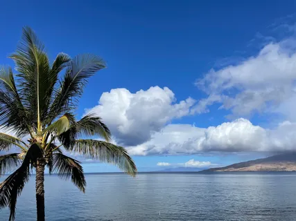 $1,958,000 | 349 South Kihei Road, Unit A, Kihei, HI 96753