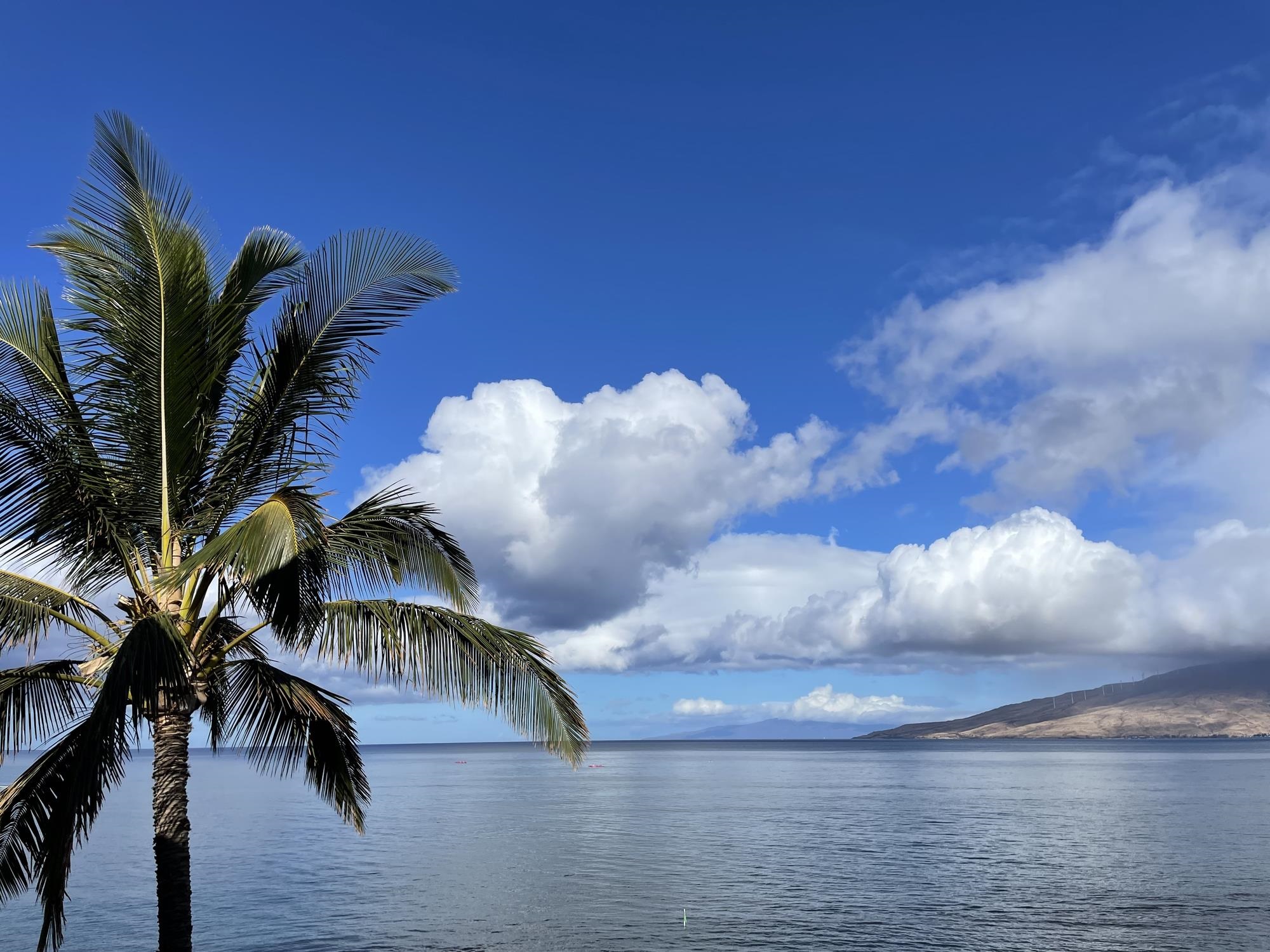 349 South Kihei Road, Unit A Kihei, HI 96753 - Photo 27 of 42