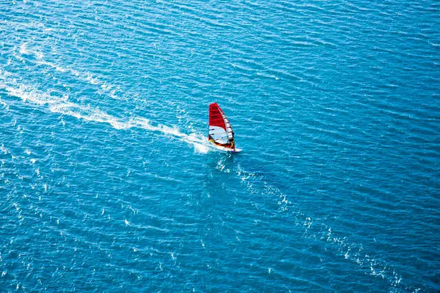 a bird view of a yard