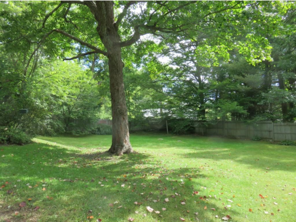 11 Angier Road Fitzwilliam, NH 03447 - Photo 24 of 25
