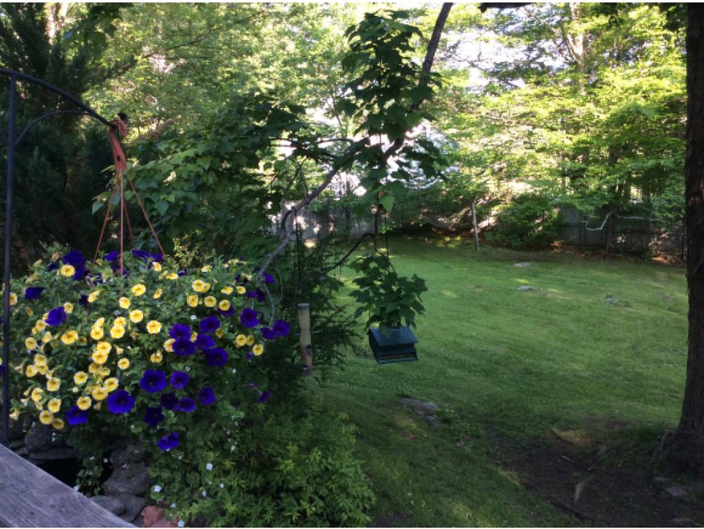 11 Angier Road Fitzwilliam, NH 03447 - Photo 25 of 25