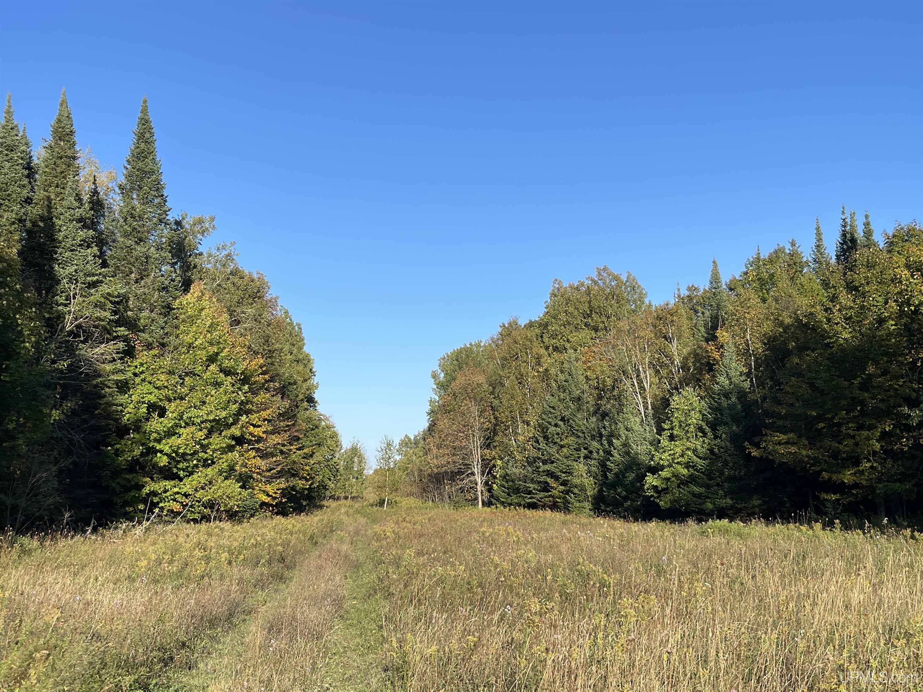 40-acres County Pit Road, Unit PARCEL #2 Manistique, MI 49854 - Photo 38 of 51 Gallery Image 38