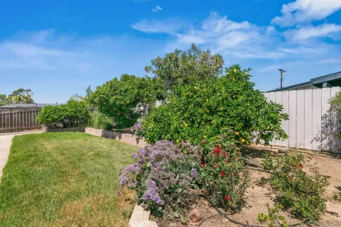 a backyard of a house with lots of green space