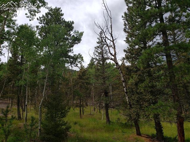 280 Summit Road Manitou Springs, CO 80829 - Photo 3 of 11 Gallery Image 3