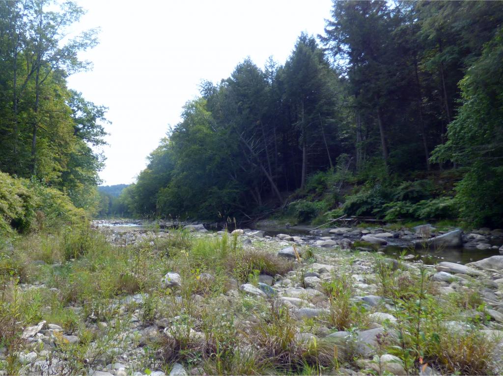 742 Saxtons River Road Rockingham, VT 05154 - Photo 29 of 32