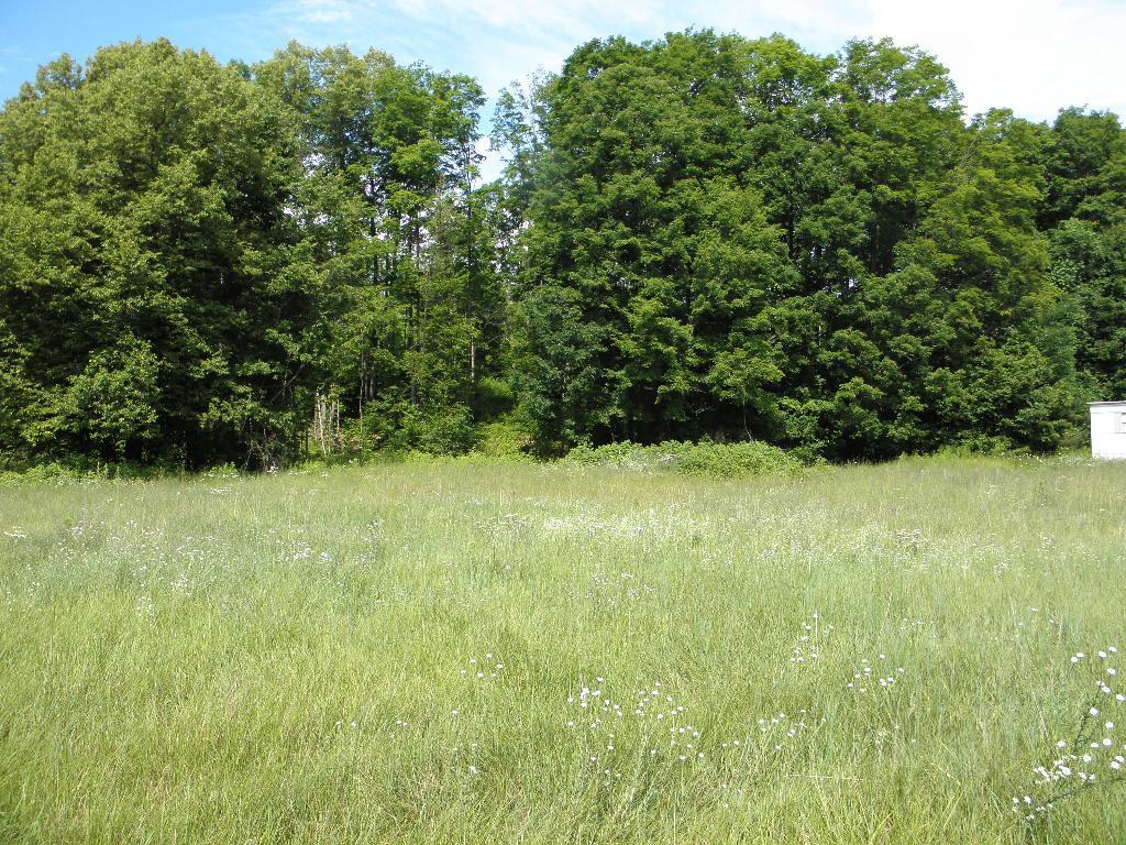 6501 Old State Road Atlanta, MI 49709 - Photo 10 of 16 Gallery Image 10