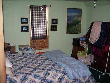 7401 West Lake Road Bellevue, MI 49021 - Photo 11 of 12 Additional Photo