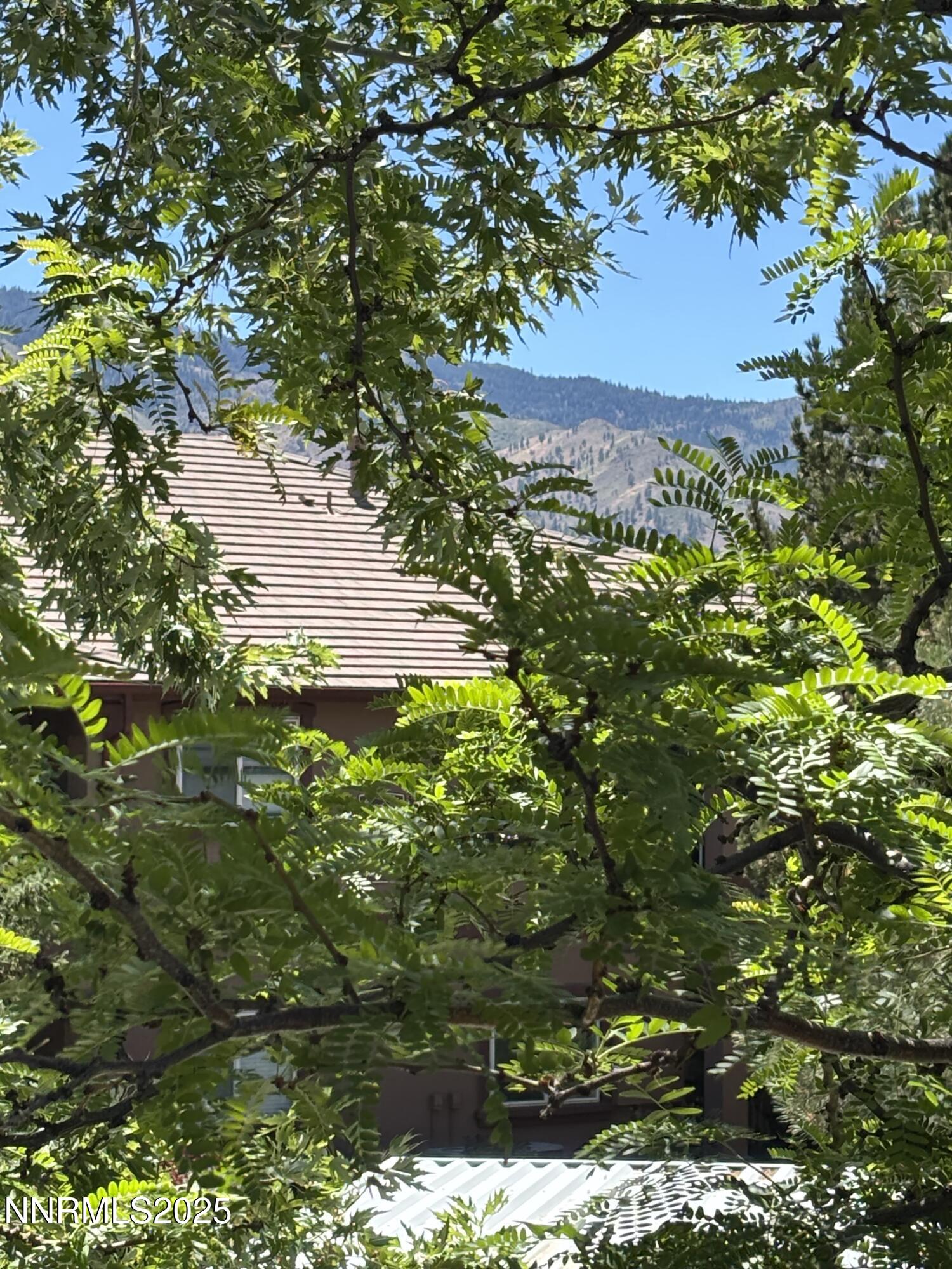6850 Sharlands Avenue, Unit T 2113 Reno, NV 89523 - Photo 55 of 56 IMG_8156