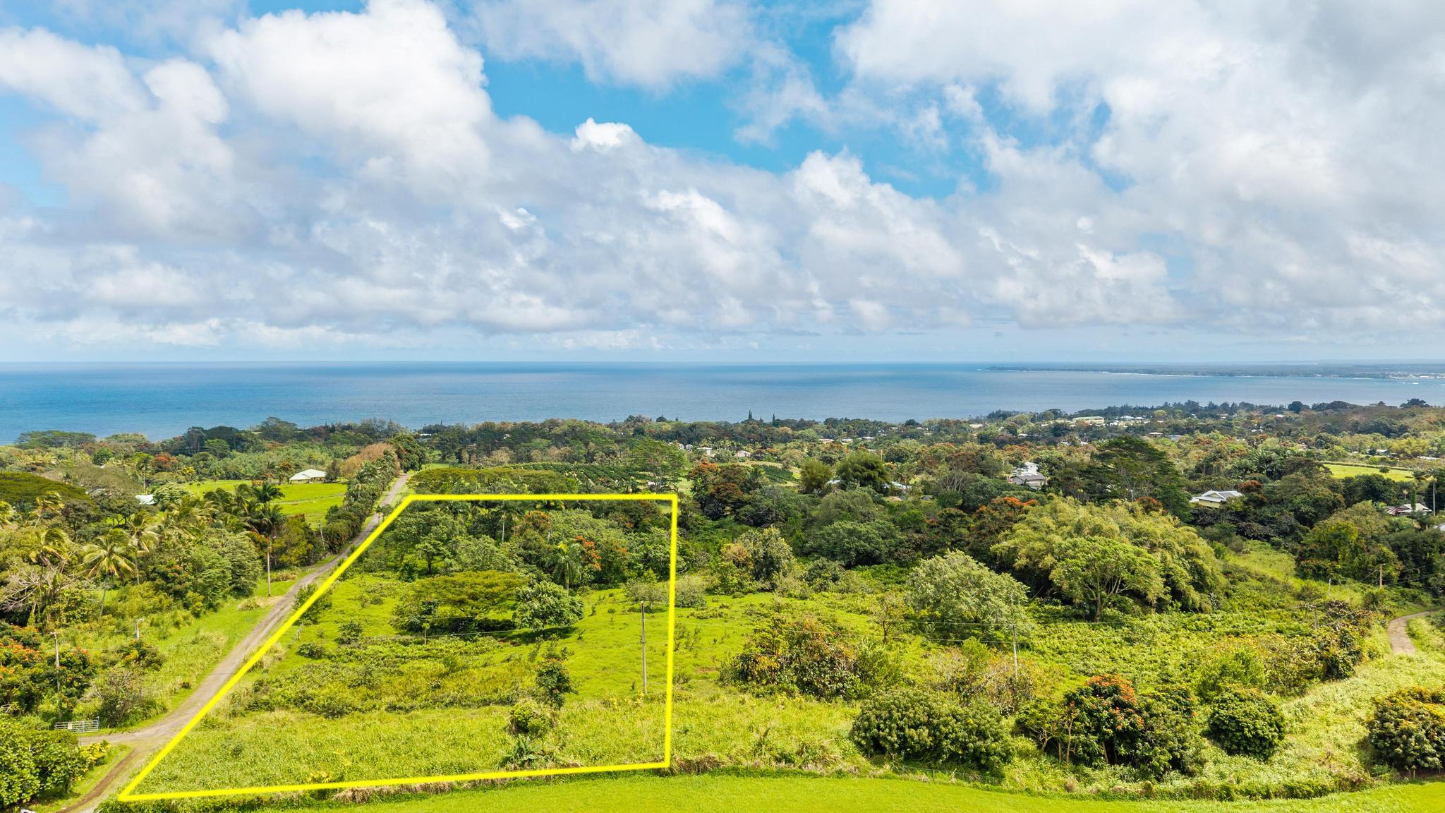Lot A Puu Moi Road Papaikou, HI 96781 - Photo 3 of 9 a view of a yard