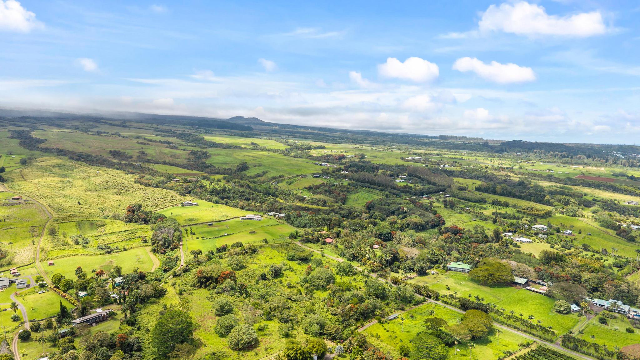 Lot A Puu Moi Road Papaikou, HI 96781 - Photo 4 of 9