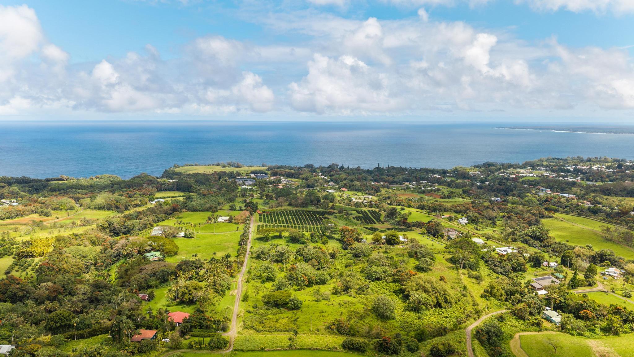 Lot A Puu Moi Road Papaikou, HI 96781 - Photo 7 of 9 a view of city and ocean