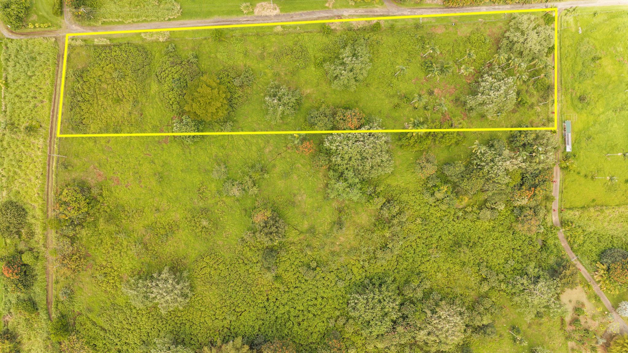 Lot A Puu Moi Road Papaikou, HI 96781 - Photo 8 of 9 a bathroom with a window