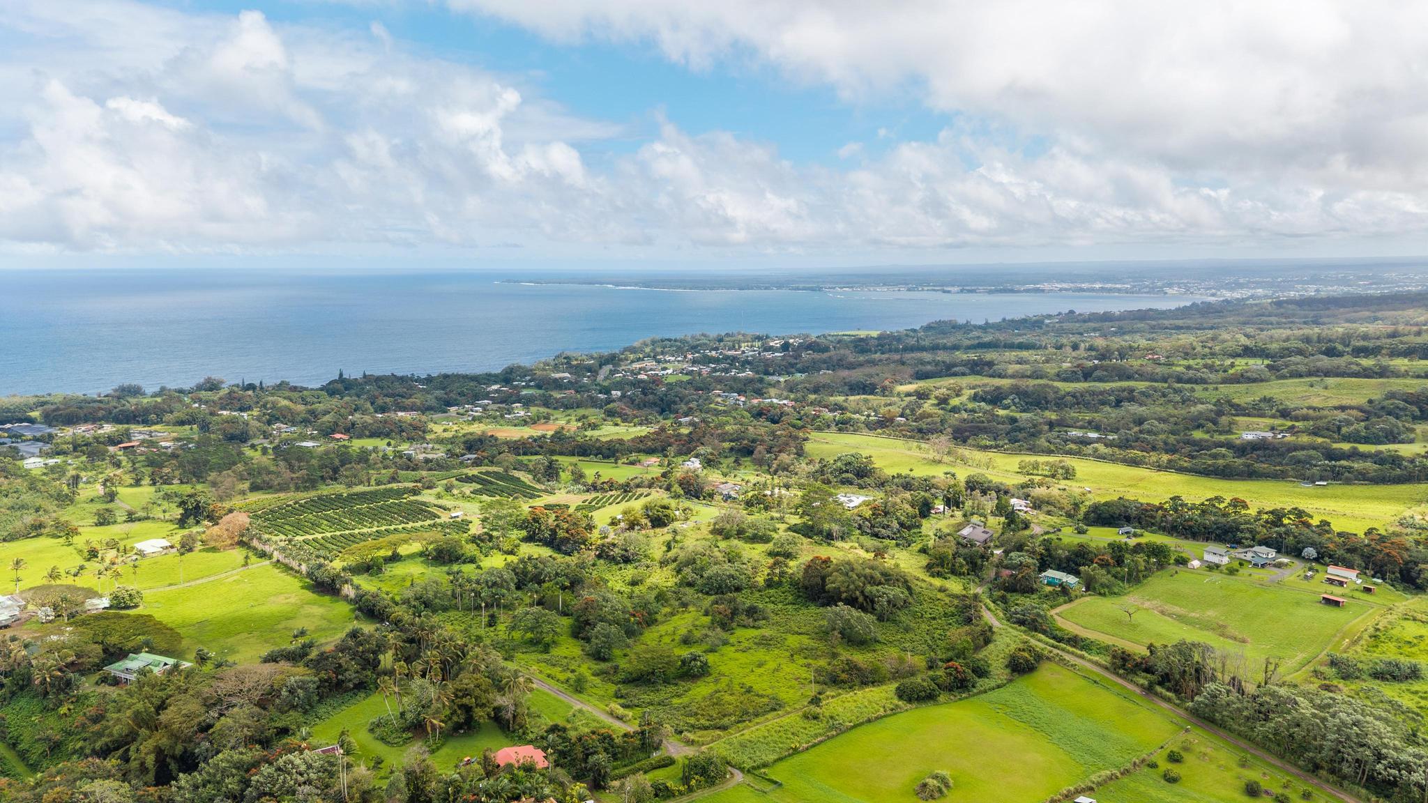 Lot A Puu Moi Road Papaikou, HI 96781 - Photo 9 of 9 an aerial view of residential houses with outdoor space