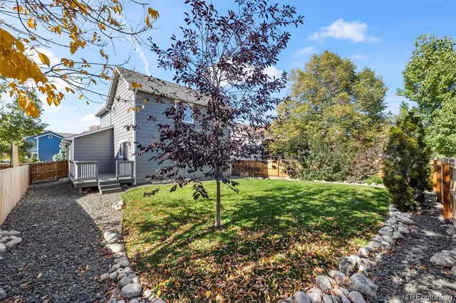 a view of backyard with tree
