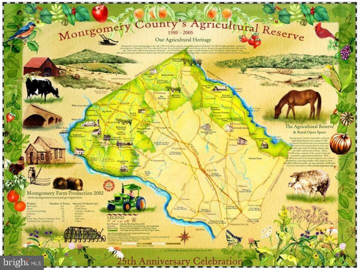 17918 Hickman Street Poolesville, MD 20837 - Photo 77 of 96