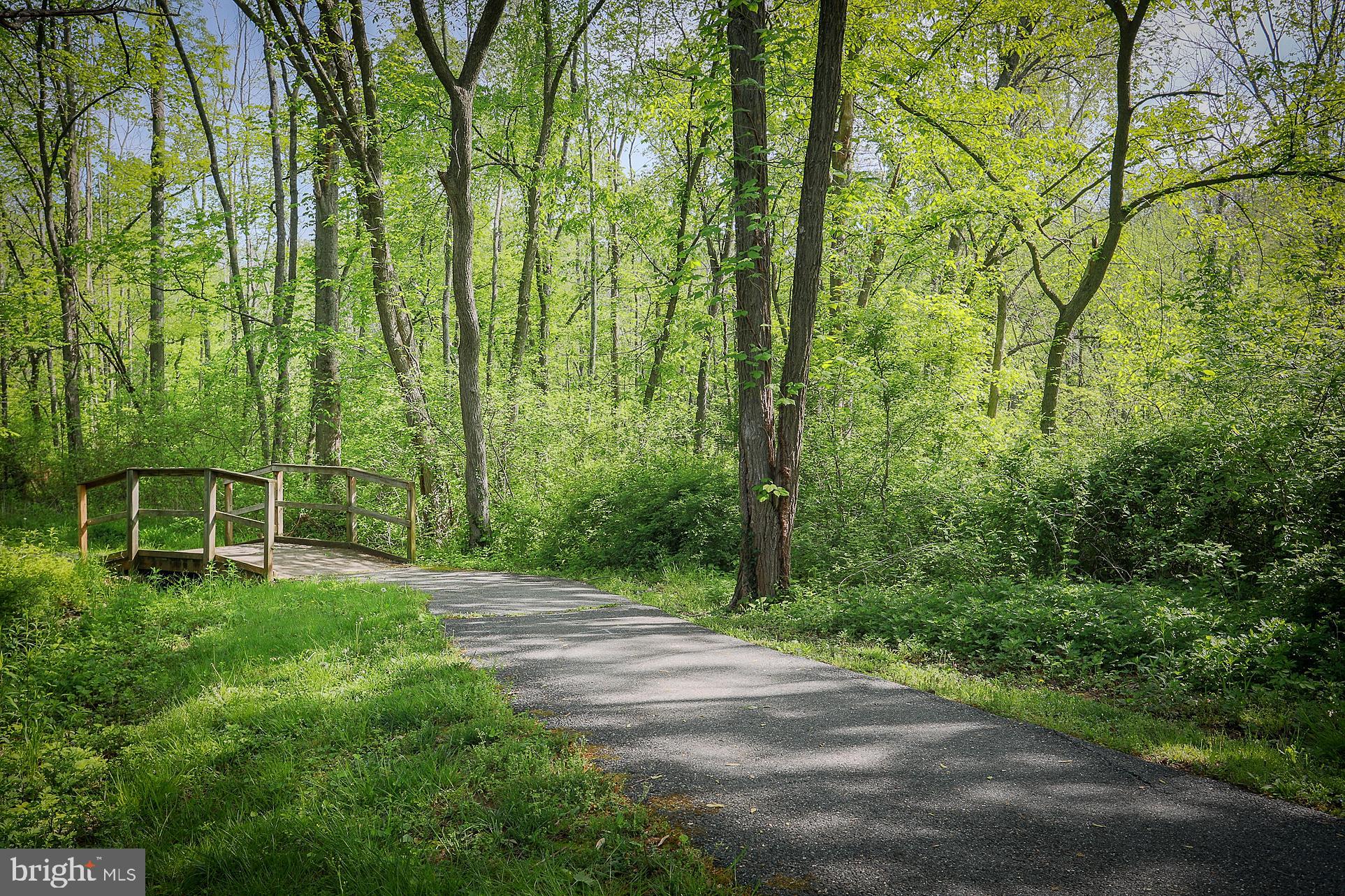 17918 Hickman Street Poolesville, MD 20837 - Photo 89 of 96 a backyard of a house with large trees and plants