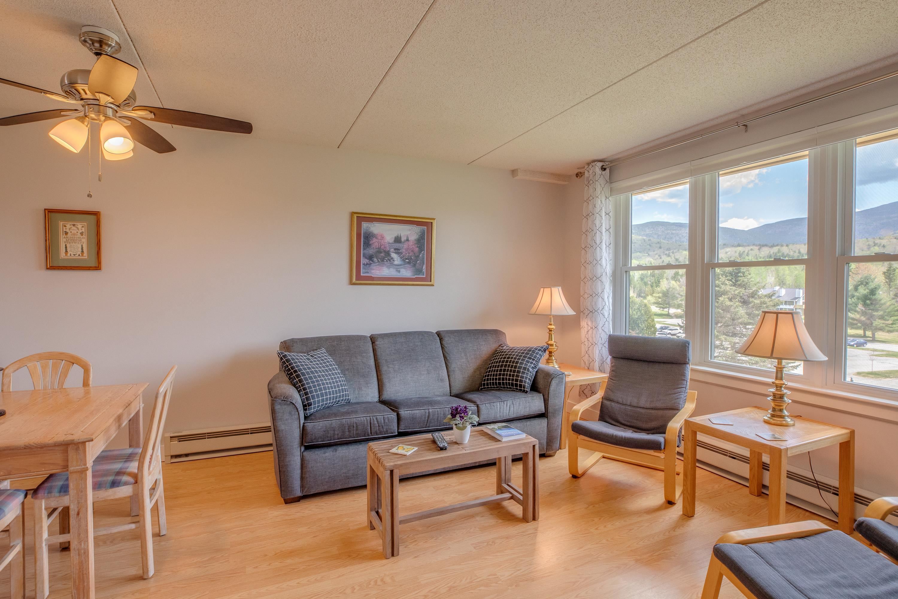 28 Packard's Road, Unit 523 Waterville Valley, NH 03215 - Photo 4 of 28