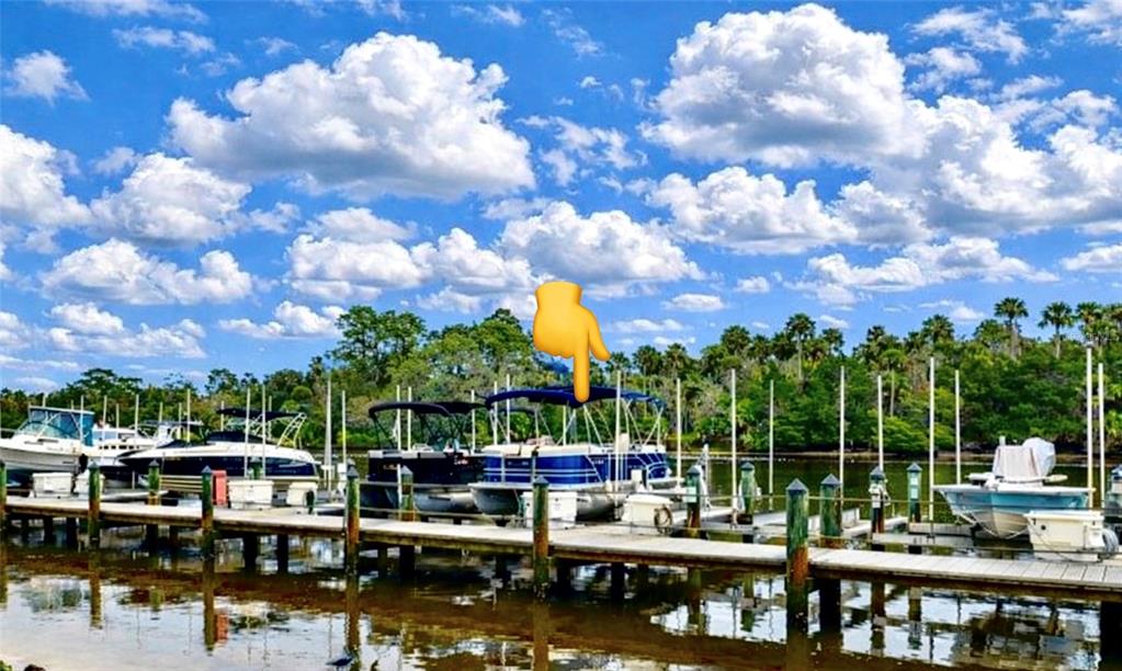 100 Canopy Walk Lane, Unit 112 Palm Coast, FL 32137 - Photo 35 of 62