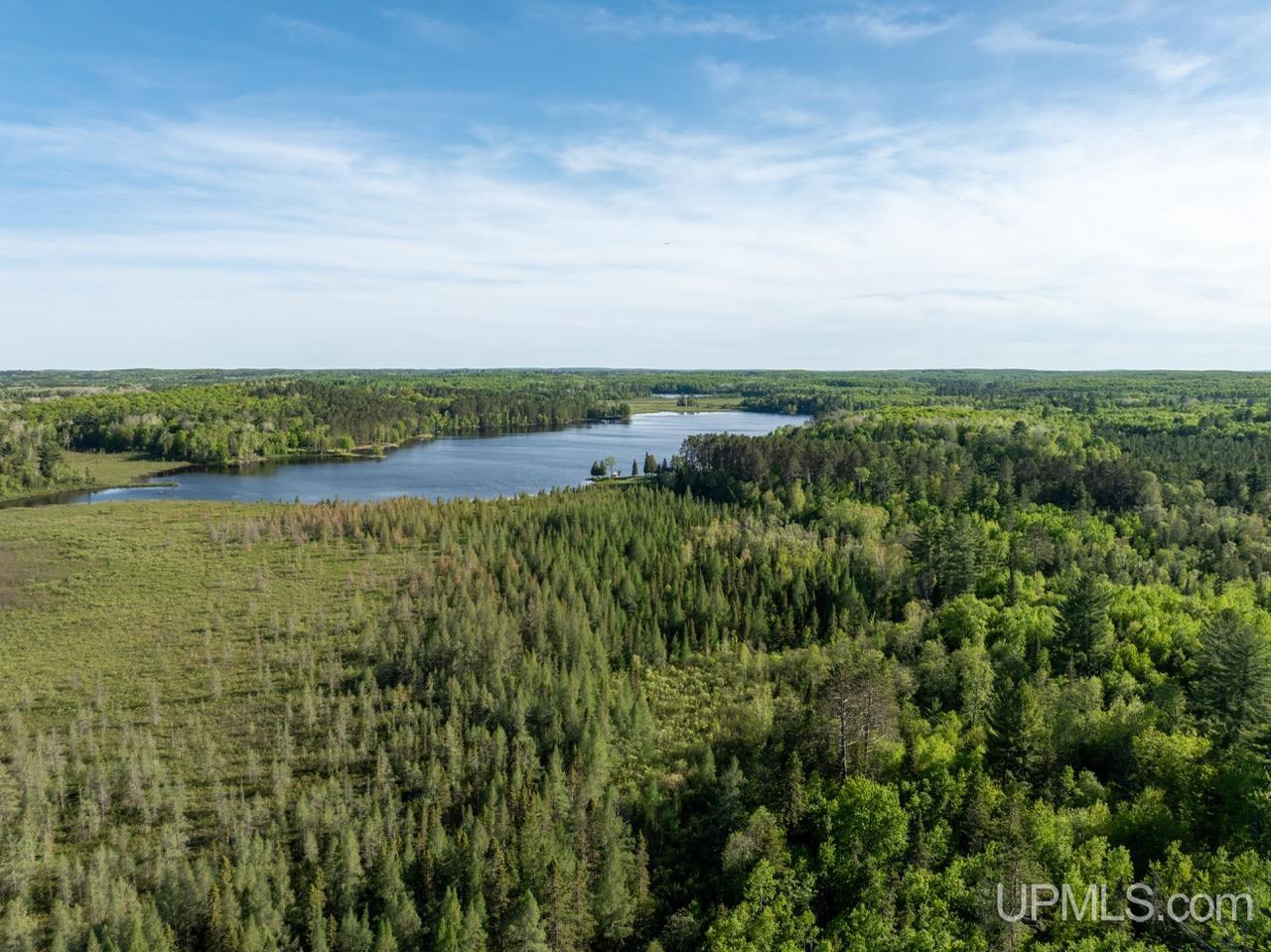 730 Premo Creek Road Crystal Falls, MI 49920 - Photo 71 of 91
