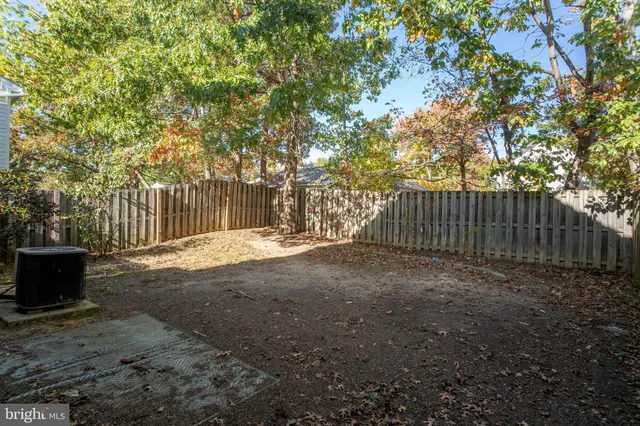 a view of outdoor space and tree
