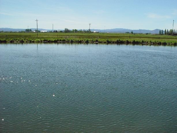 0 Spring Creek Road Fall River Mills, CA 96028 - Photo 15 of 18 a view of a lake and a houses