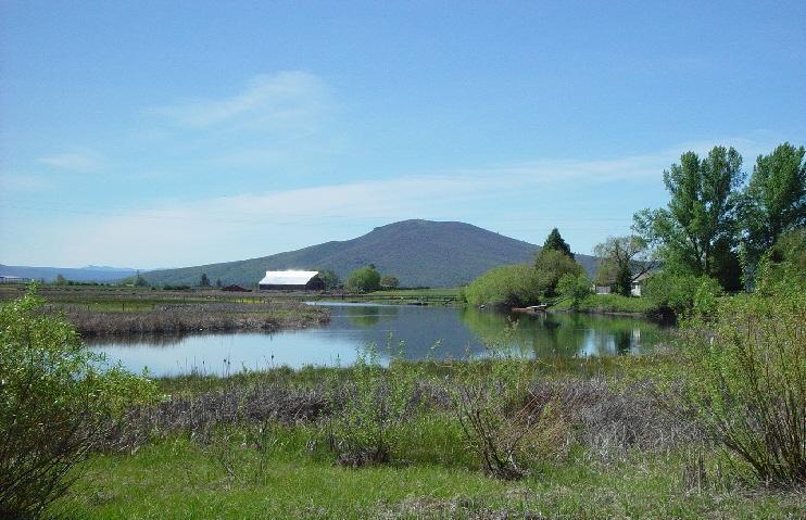 0 Spring Creek Road Fall River Mills, CA 96028 - Photo 5 of 18 a view of a lake in a field