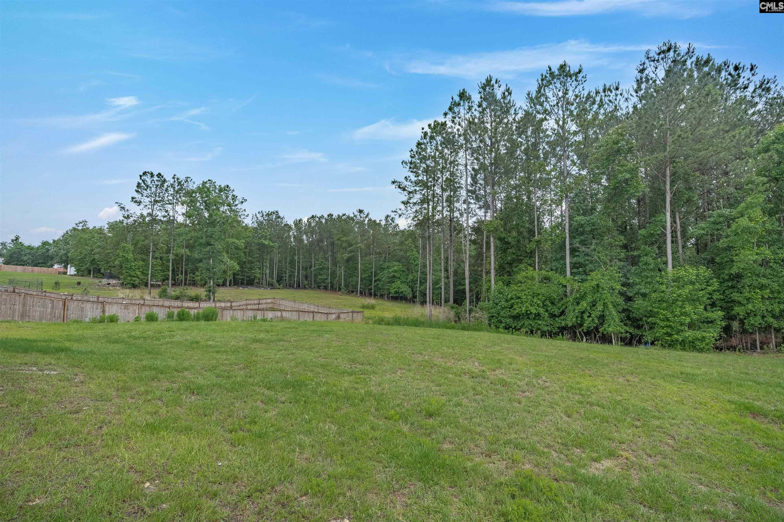 71 Redwing Drive Lugoff, SC 29078 - Photo 32 of 37