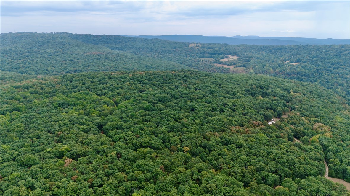 22.37 /- Acres Price Road Winslow, AR 72959 - Photo 58 of 60 Gallery Image 58