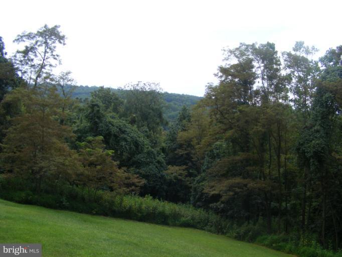 114 Steps To Heaven Road Linden, VA 22642 - Photo 2 of 21 View
